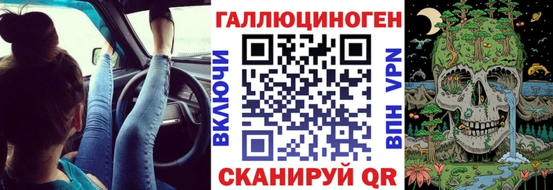 Галлюциногенные грибы Psilocybe  Боготол 
